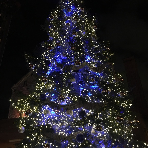 Meet your Posher, Dheiksha - Picture 1 of 1